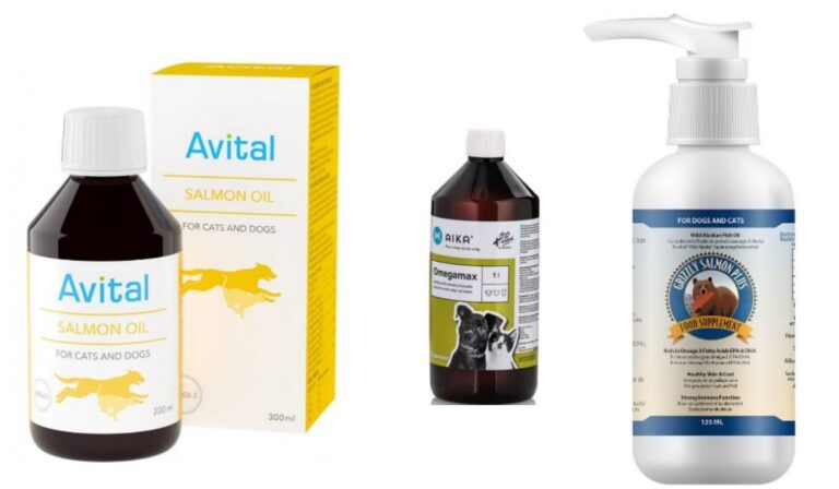 Paras lohiöljy vertailu