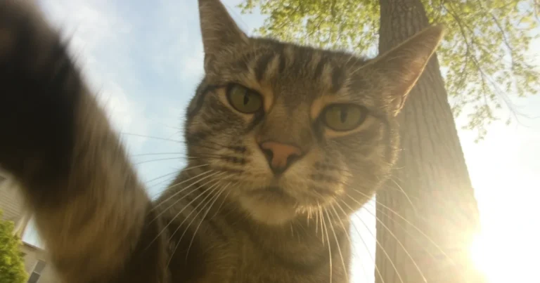 Paras kiipeilyköysi testi