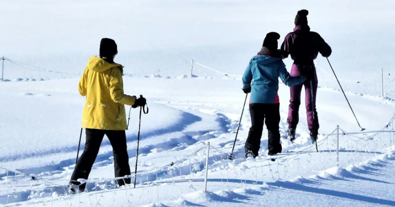 Paras metsäsukset testi