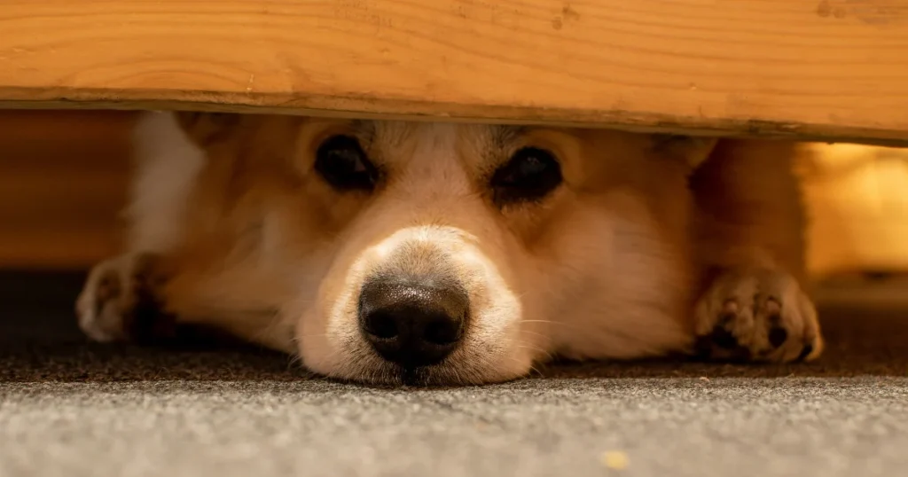 Paras vuodevaatelaatikko testi