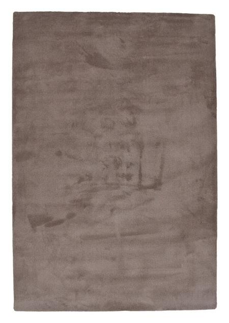 Usva nukkamatto 80x150 cm ruskea