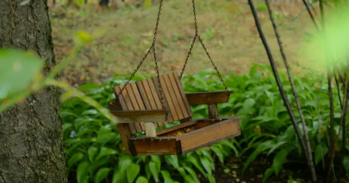 Paras pihakeinu testi