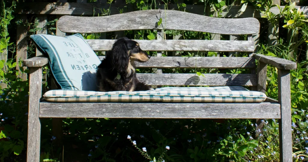 paras puutarhapenkki testi