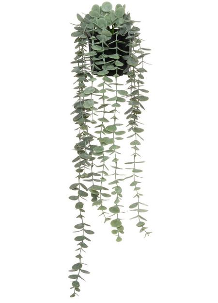 4Living riippuva mehikasvi ruukussa 58 cm