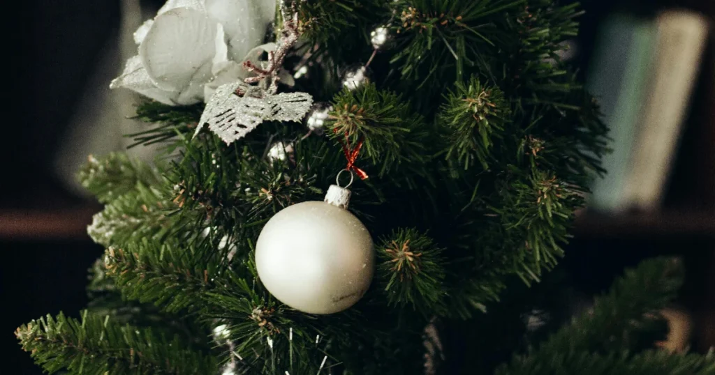 Paras joulukuusi testi