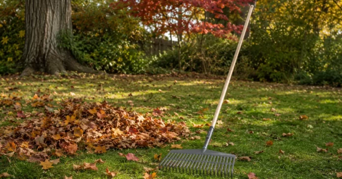 gardena-natureline-nordic-lehtiharava-testi Gardena NatureLine Nordic 17105-24 Lehtiharava arvostelu
